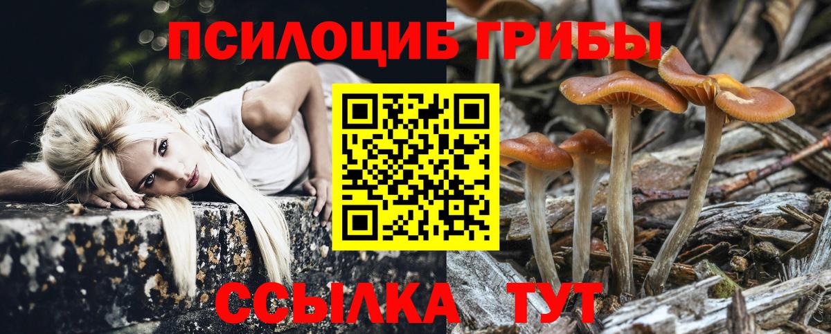 Якутск  Галлюциногенные грибы Magic Shrooms  Вход с VPN  Галлюциногенные грибы Psilocybine cubensis 