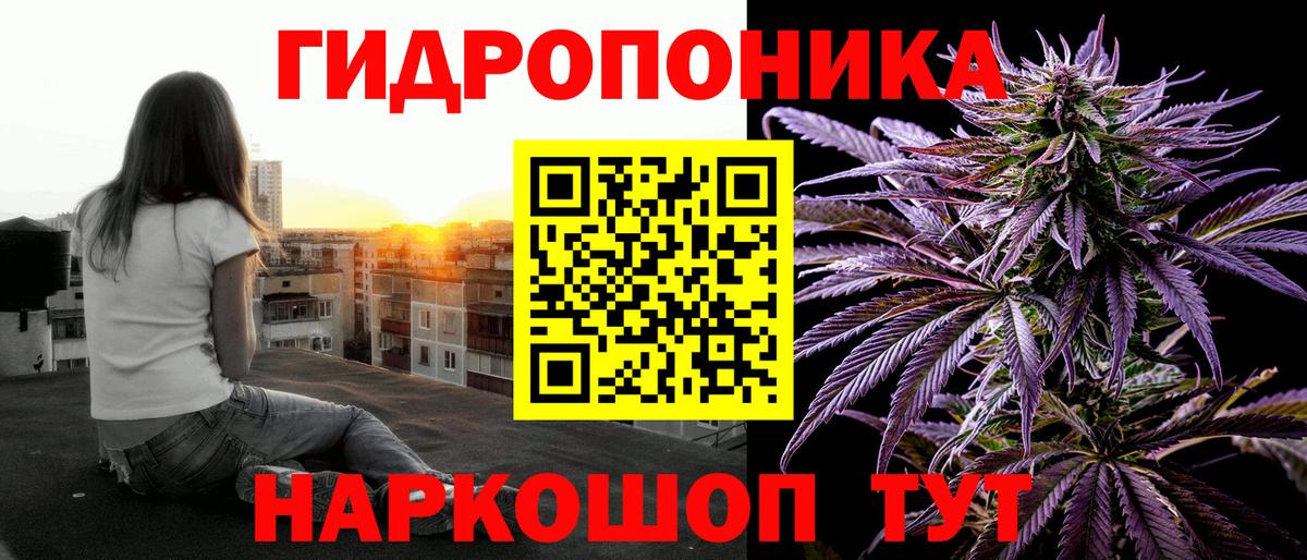 Бошки марихуана Bruce Banner  Вход с VPN  Якутск  Шишки марихуана семена 